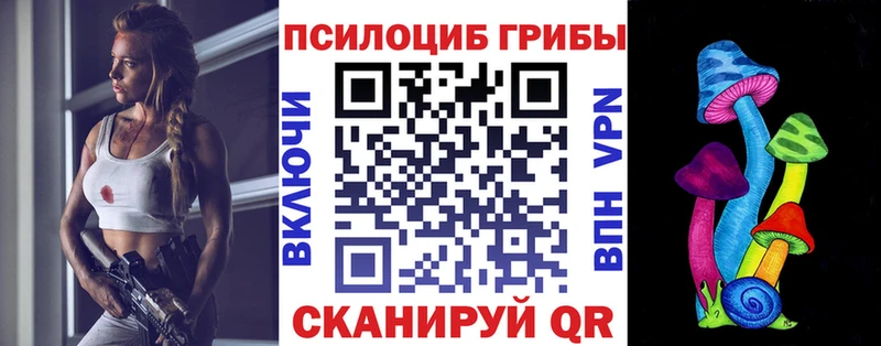 МЕГА зеркало  Ачинск  Псилоцибиновые грибы GOLDEN TEACHER  купить наркотик 