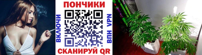 цена   Ачинск  Канабис Amnesia 